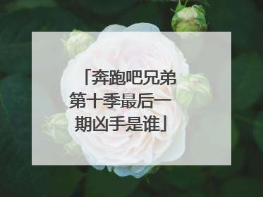 奔跑吧兄弟第十季最后一期凶手是谁