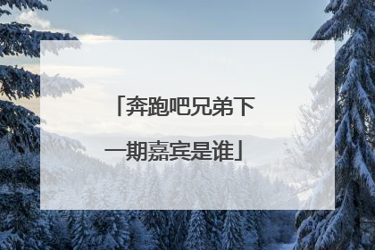 奔跑吧兄弟下一期嘉宾是谁