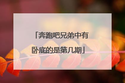 奔跑吧兄弟中有卧底的是第几期