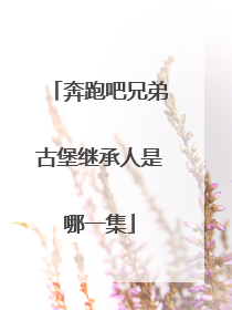 奔跑吧兄弟古堡继承人是哪一集