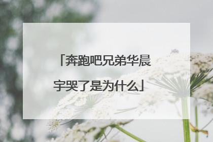 奔跑吧兄弟华晨宇哭了是为什么