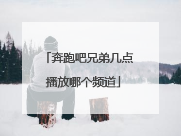 奔跑吧兄弟几点播放哪个频道