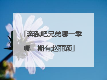 奔跑吧兄弟哪一季哪一期有赵丽颖