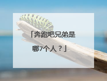 奔跑吧兄弟是哪7个人?