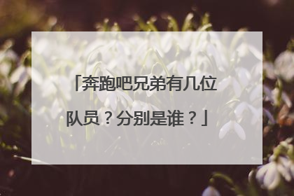 奔跑吧兄弟有几位队员?分别是谁?