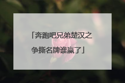 奔跑吧兄弟楚汉之争撕名牌谁赢了