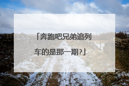 奔跑吧兄弟追列车的是那一期?