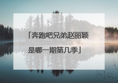 奔跑吧兄弟赵丽颖是哪一期第几季