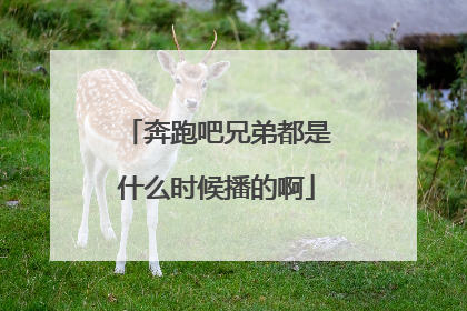 奔跑吧兄弟都是什么时候播的啊