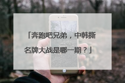 奔跑吧兄弟,中韩撕名牌大战是哪一期?