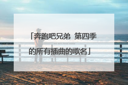 奔跑吧兄弟 第四季的所有插曲的歌名