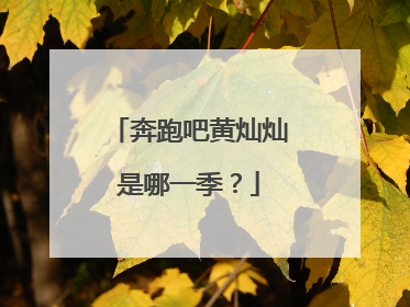 奔跑吧黄灿灿是哪一季?