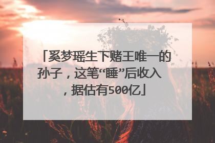奚梦瑶生下赌王唯一的孙子,这笔“睡”后收入,据估有500亿