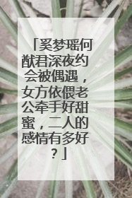 奚梦瑶何猷君深夜约会被偶遇,女方依偎老公牵手好甜蜜,二人的感情有多好?