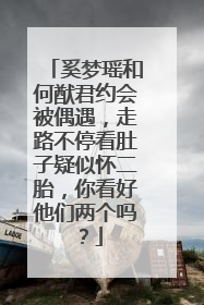 奚梦瑶和何猷君约会被偶遇，走路不停看肚子疑似怀二胎，你看好他们两个吗？