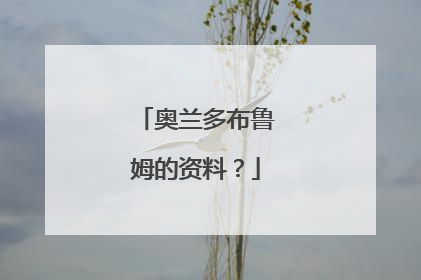 奥兰多布鲁姆的资料?