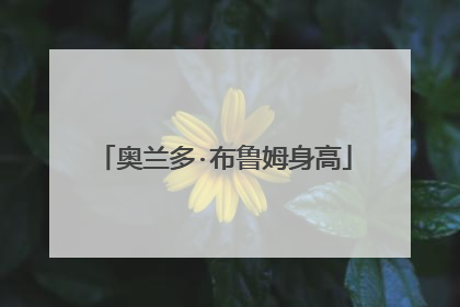 奥兰多·布鲁姆身高