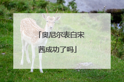 奥尼尔表白宋茜成功了吗