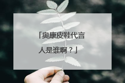 奥康皮鞋代言人是谁啊?