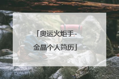 奥运火炬手- 金晶个人简历