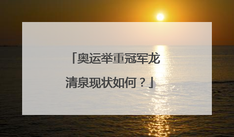 奥运举重冠军龙清泉现状如何?