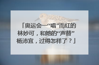 奥运会一“唱”而红的林妙可,和她的“声替”杨沛宜,过得怎样了?