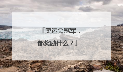 奥运会冠军,都奖励什么?