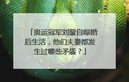 奥运冠军刘璇自曝婚后生活，他们夫妻都发生过哪些矛盾？