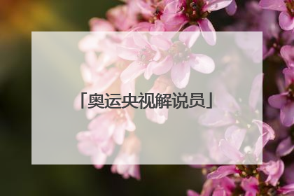 奥运央视解说员