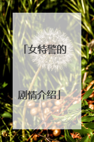 女特警的剧情介绍