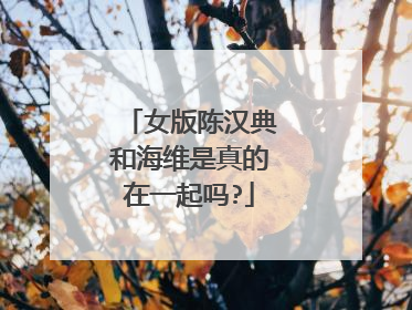 女版陈汉典和海维是真的在一起吗?