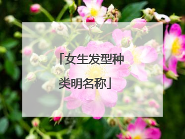 女生发型种类明名称