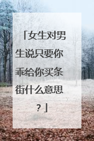 女生对男生说只要你乖给你买条街什么意思？