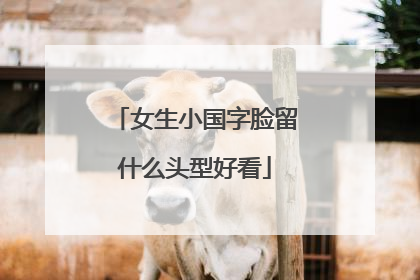 女生小国字脸留什么头型好看