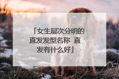 女生层次分明的直发发型名称 直发有什么好