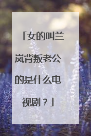 女的叫兰岚背叛老公的是什么电视剧？