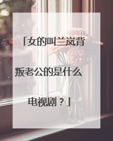 女的叫兰岚背叛老公的是什么电视剧？