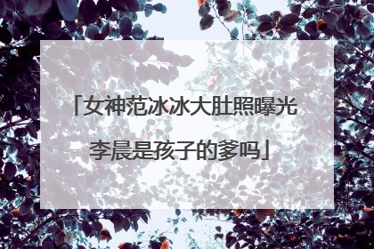 女神范冰冰大肚照曝光 李晨是孩子的爹吗