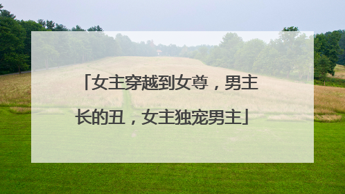 女主穿越到女尊,男主长的丑,女主独宠男主