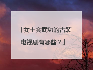 女主会武功的古装电视剧有哪些?