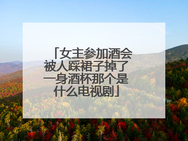女主参加酒会被人踩裙子掉了一身酒杯那个是什么电视剧