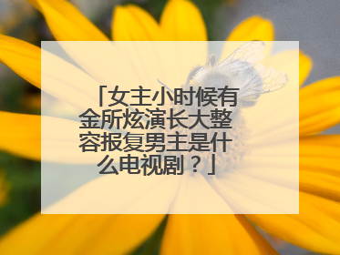 女主小时候有金所炫演长大整容报复男主是什么电视剧？