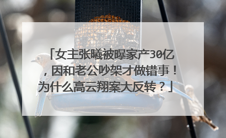 女主张曦被曝家产30亿，因和老公吵架才做错事！为什么高云翔案大反转？
