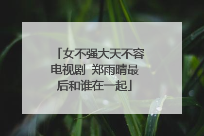 女不强大天不容电视剧 郑雨晴最后和谁在一起
