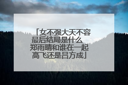女不强大天不容最后结局是什么 郑雨晴和谁在一起高飞还是吕方成