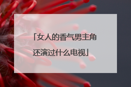 女人的香气男主角还演过什么电视