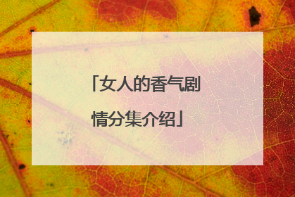 女人的香气剧情分集介绍