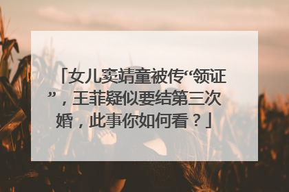 女儿窦靖童被传“领证”,王菲疑似要结第三次婚,此事你如何看?