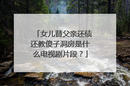 女儿替父亲还债还教傻子洞房是什么电视剧片段？