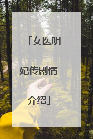 女医明妃传剧情介绍